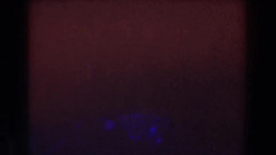 1959 Michigan 8mm frame showing a dark red exposure field, blue light patches, grain, and black film-gate borders.