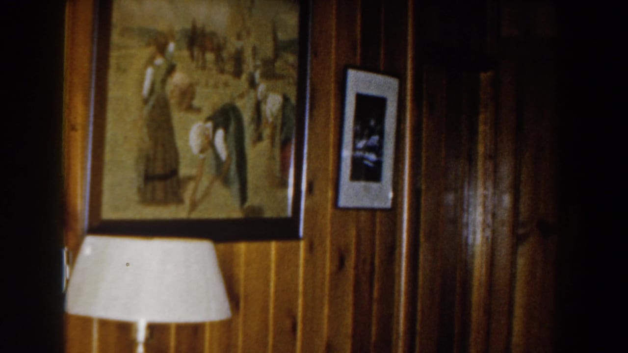 Wood-paneled wall with framed painting, small photo, lamp shade, and dark doorway area.