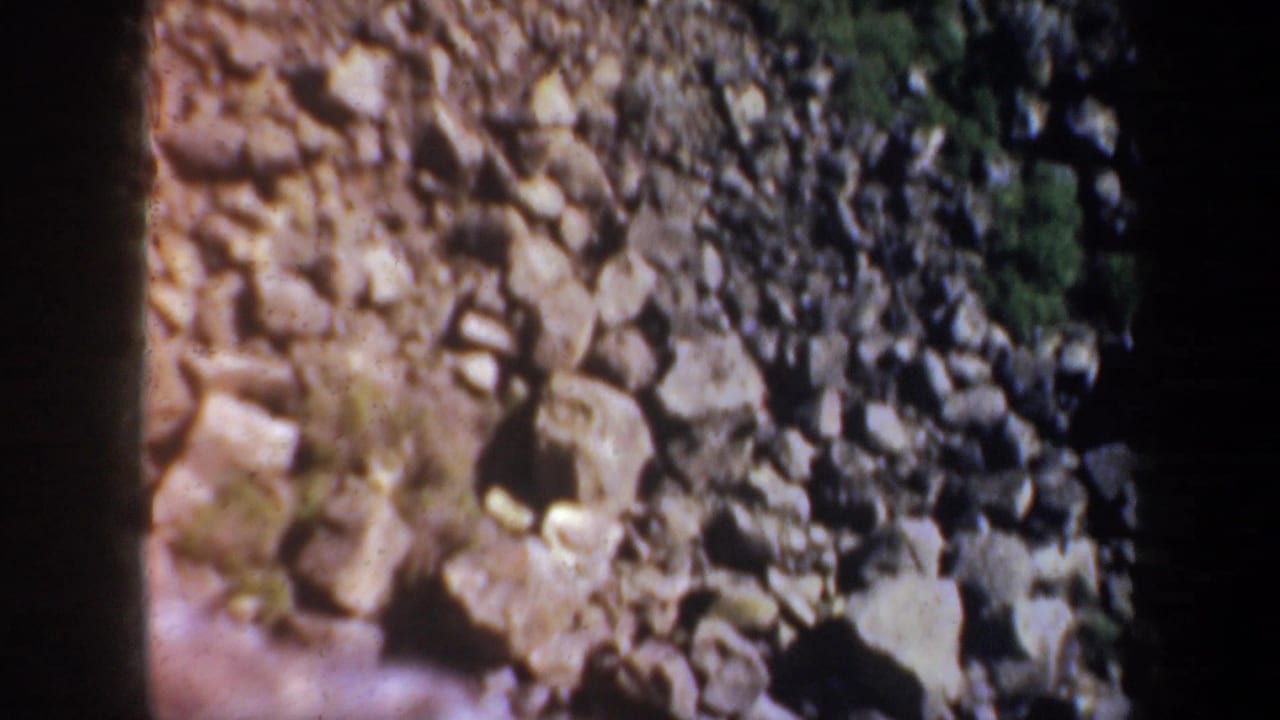 Rocky riverbank with pale rushing water partly visible below.
