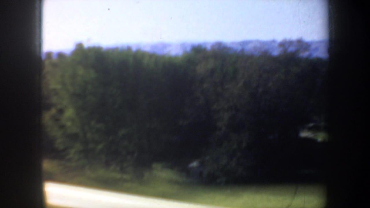 Tree-lined rural roadside with open grass and distant hills beyond the window.