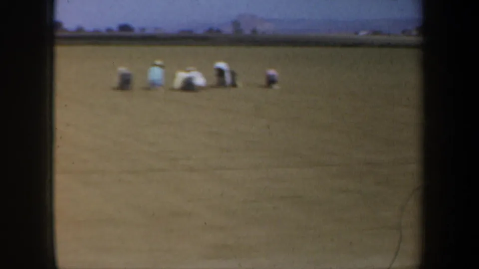 In Oregon 1957 home-movie footage, several distant people kneel in a broad dry field beneath a pale sky and low hills.