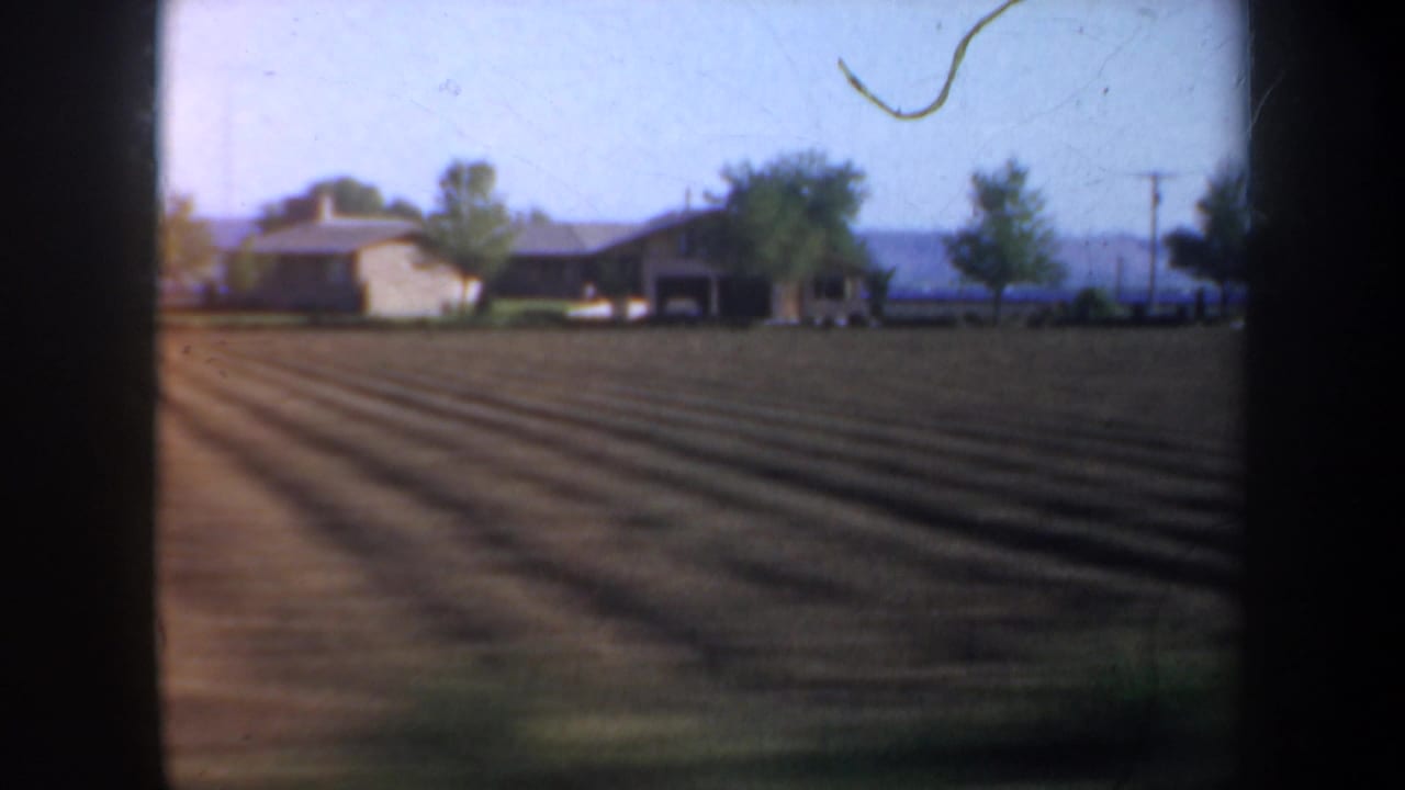 Brown plowed field with distant farm buildings and trees under a blue sky.