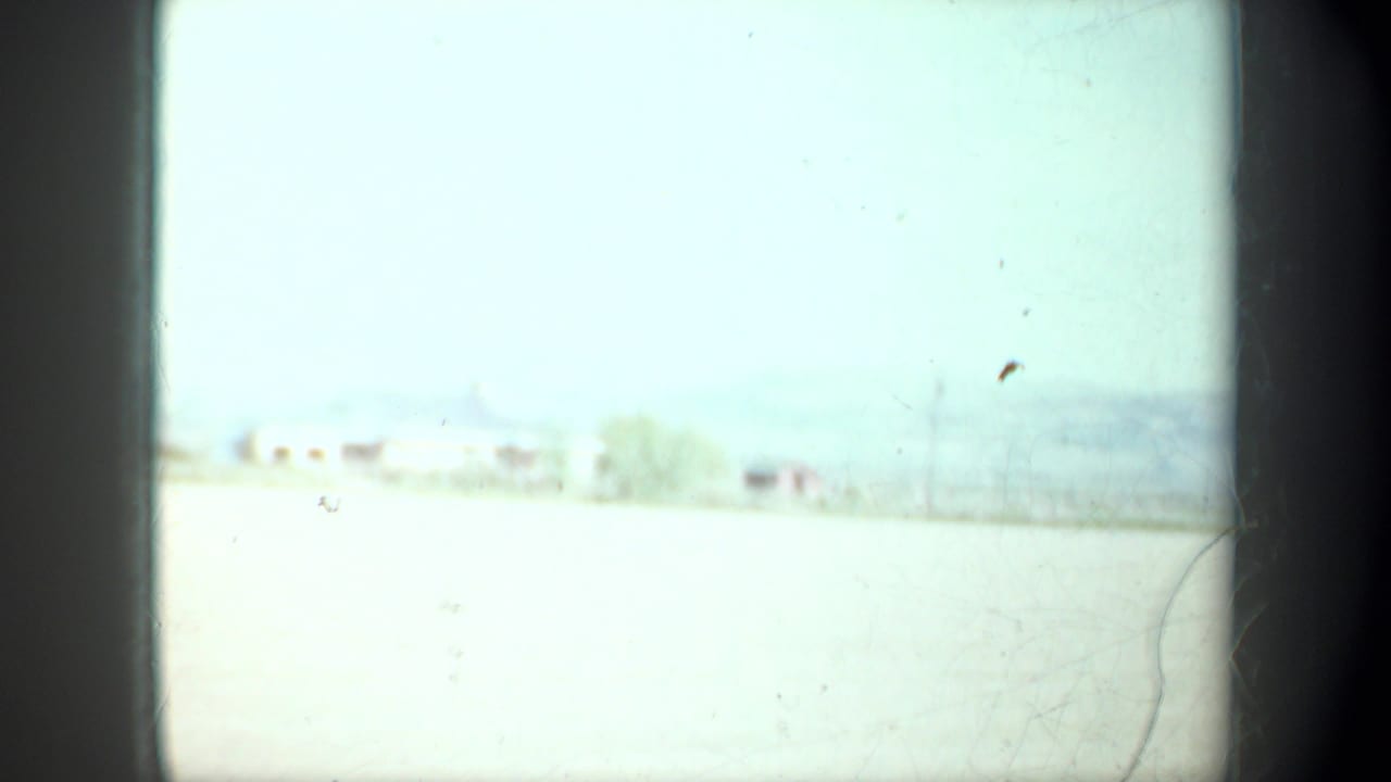 Overexposed rural roadside view with pale field, distant buildings, trees, and sky.