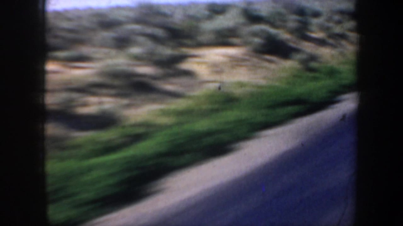 Blurred roadside view with green vegetation, road edge, and rocky or brown ground from a moving vehicle.