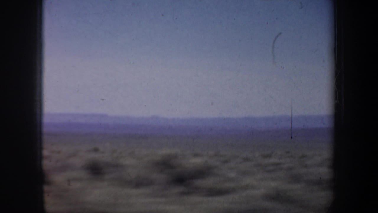 Open desert scrubland with hazy mountains under a pale sky.