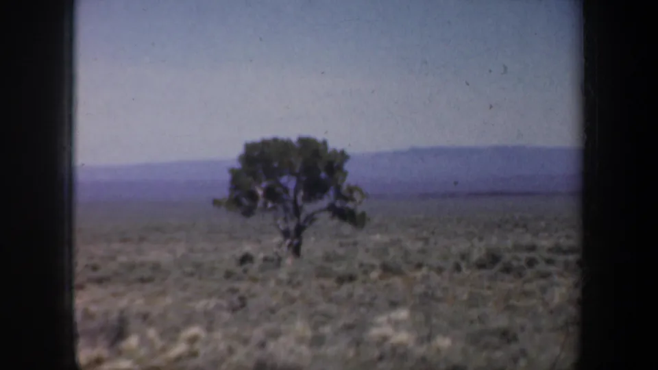 1957 Oregon 8mm frame of a lone tree on an arid plain, with shrubs and distant hills beyond.