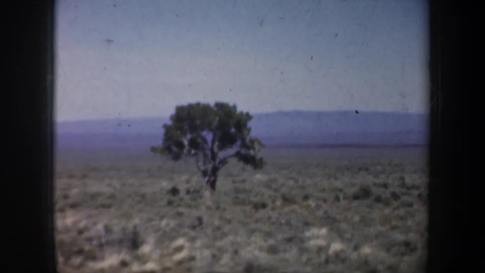 1957 Oregon 8mm frame showing a lone tree across arid scrubland with hazy hills in the distance.