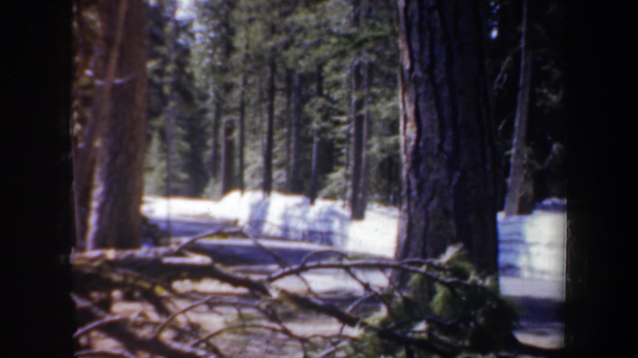 1957 Oregon 8mm frame showing evergreen trees, a shaded roadside or clearing, fallen branches, and lingering snow patches.