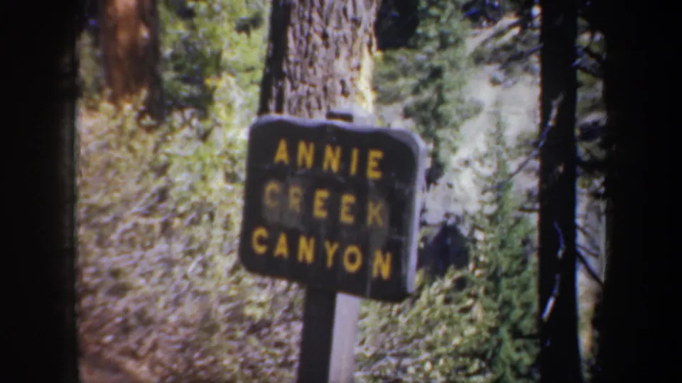 Closer 1957 Oregon frame of the Annie Creek Canyon sign, with yellow lettering, a pale post, tree bark, and green forest growth.