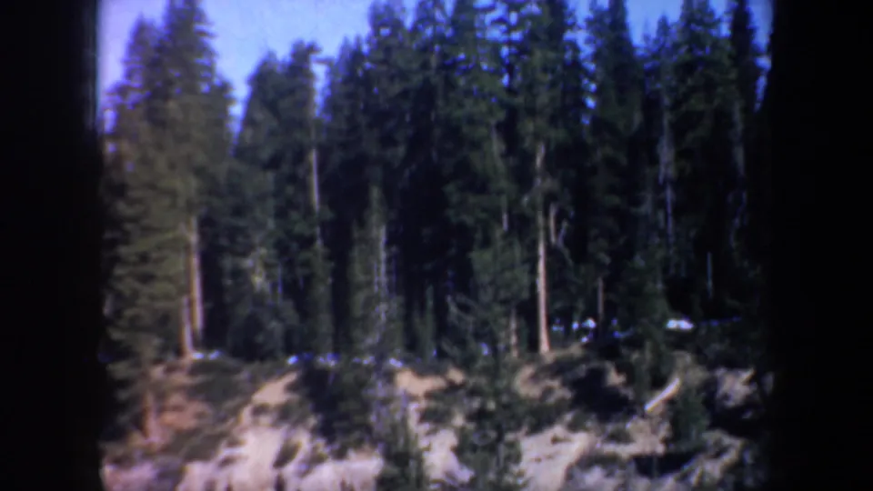 1957 Oregon 8mm frame showing tall evergreens, tan rock outcrops, and blue sky in a sunlit forest landscape.