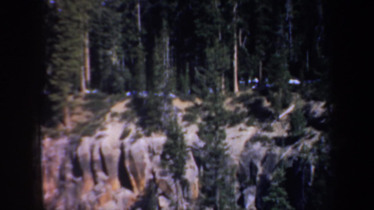 Sunlit rocky slope with evergreens and dark forest behind it.