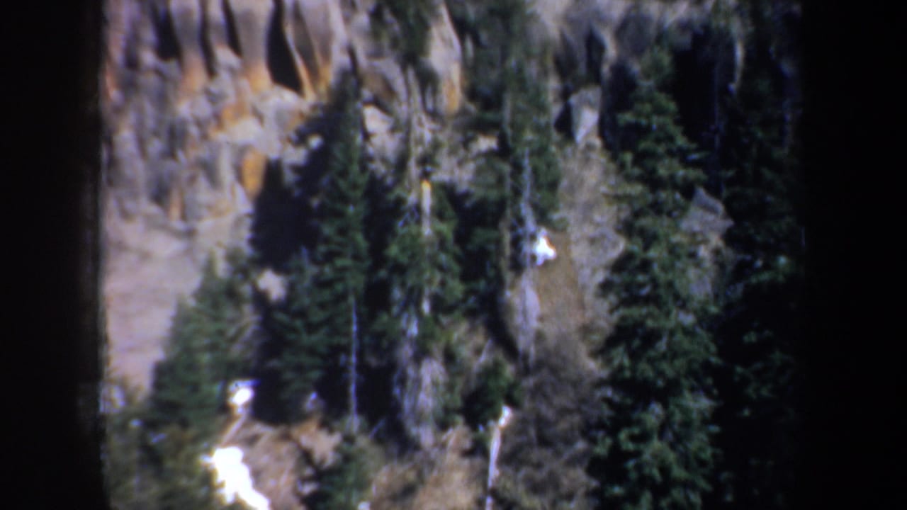 Evergreen trees and snow patches below a rocky cliffside.