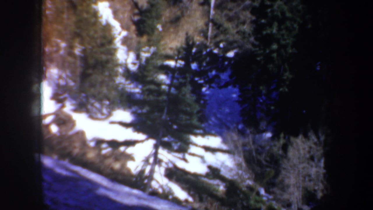 1957 Oregon 8mm frame showing snow-dusted ground, pine trees, and a sloping forest scene in bright light.