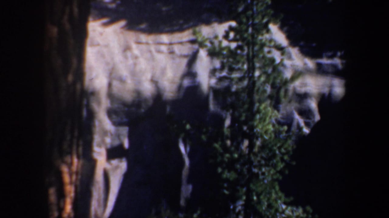 1957 Oregon 8mm frame showing evergreen branches against a pale rocky cliff with deep shadow at the right.