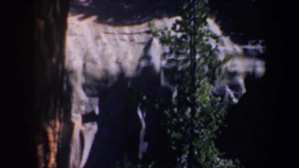 1957 Oregon 8mm frame showing evergreen branches against a pale rocky cliff with deep shadow at the right.
