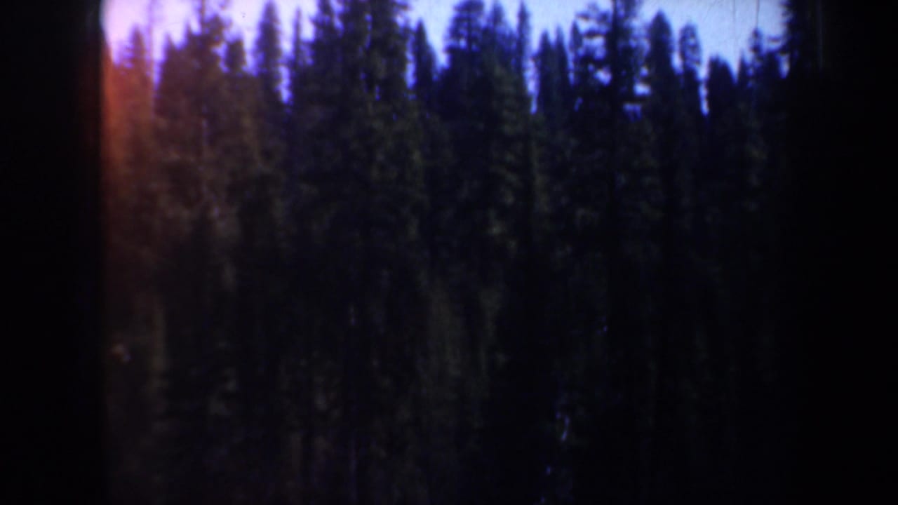 Dark evergreen forest silhouettes with blue sky and heavy frame-edge shadow.