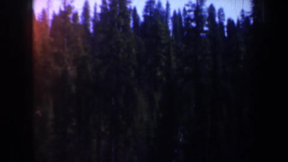 Dark 1957 Oregon 8mm frame showing tall evergreen trees, blue sky, and heavy shadow at the film edge.