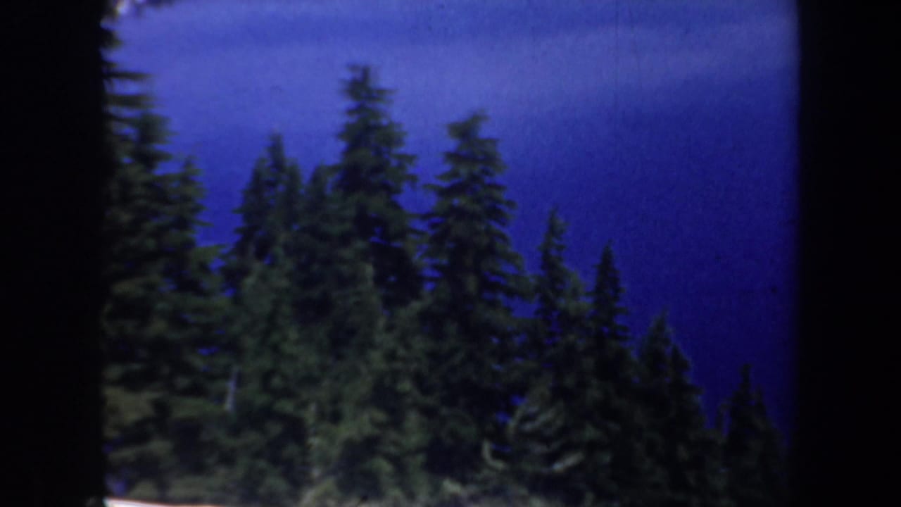 1957 Oregon 8mm view of dense conifers rising into a blue sky, with visible film gate borders and soft color shift.