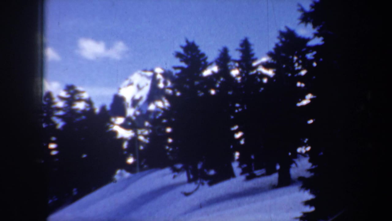 Snowy ridge and evergreen silhouettes under a bright blue sky.