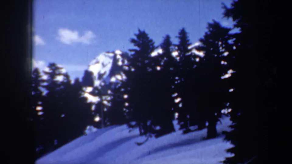 1957 Oregon 8mm frame with dark evergreen trees in the foreground and a snow-covered mountain ridge under blue sky.