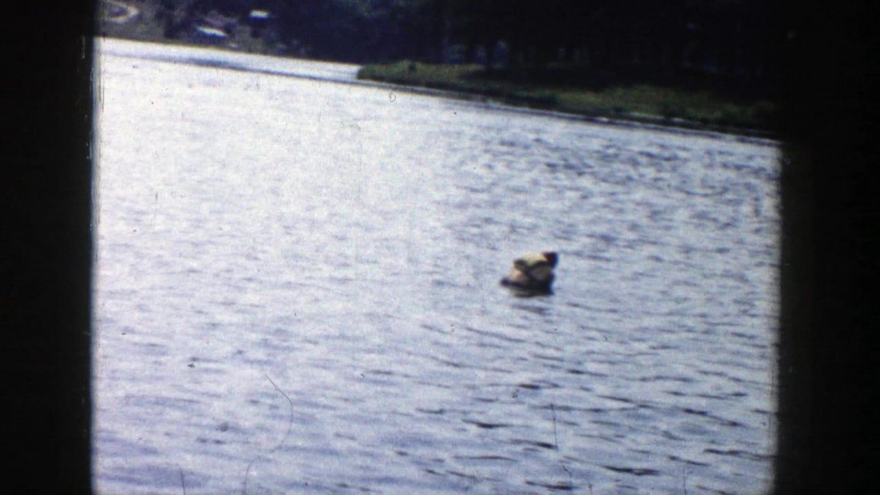 Home-movie frame from a 1958 Wisconsin lake outing with a dog swimming in mid-lake and a tree-lined bank behind it.