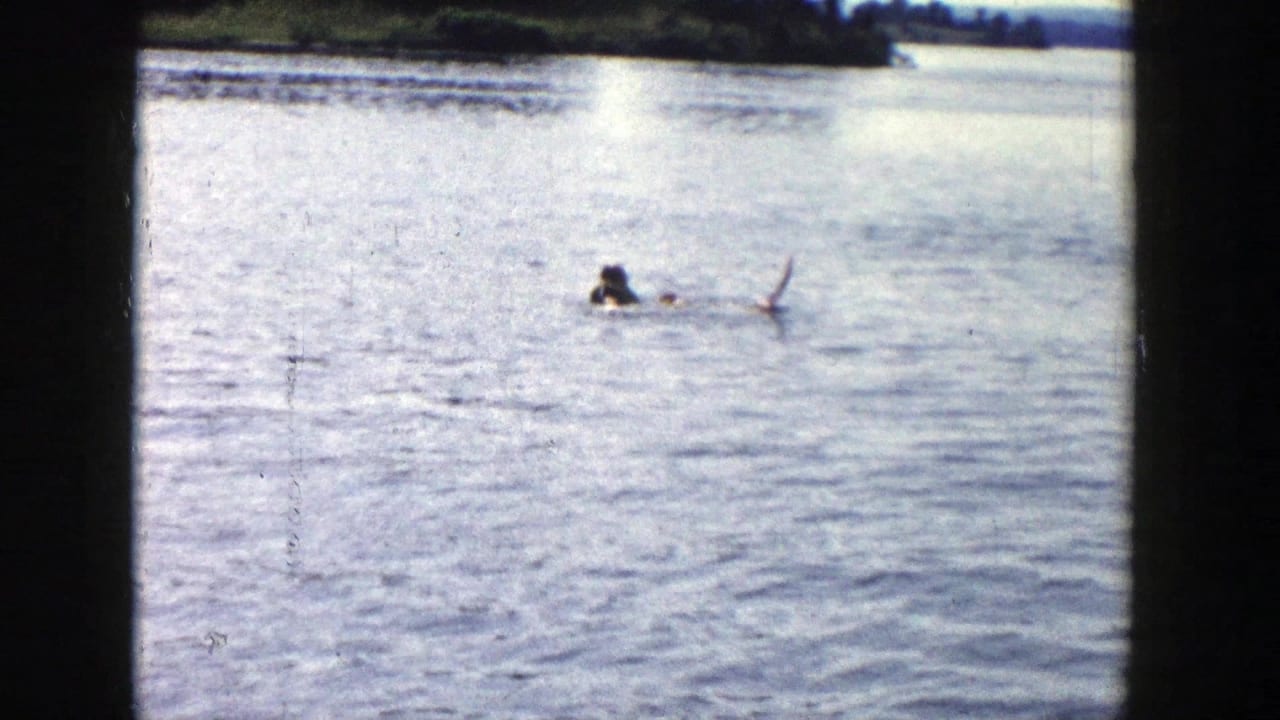 1958 Wisconsin home-movie frame showing a distant figure or dog moving through bright lake water near the shoreline.