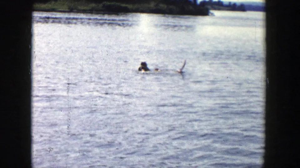1958 Wisconsin home-movie frame showing a distant figure or dog moving through bright lake water near the shoreline.