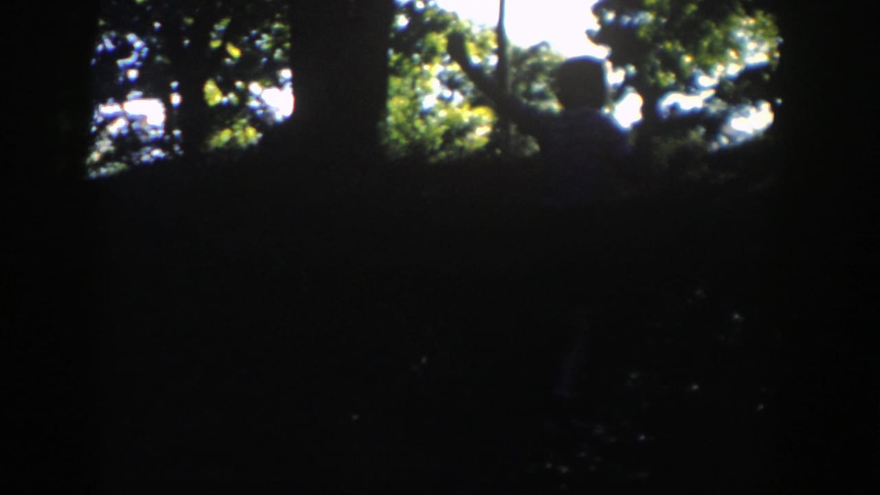A silhouetted person appears near the crest of a wooded hill in Wisconsin, framed by bright gaps in the tree canopy.