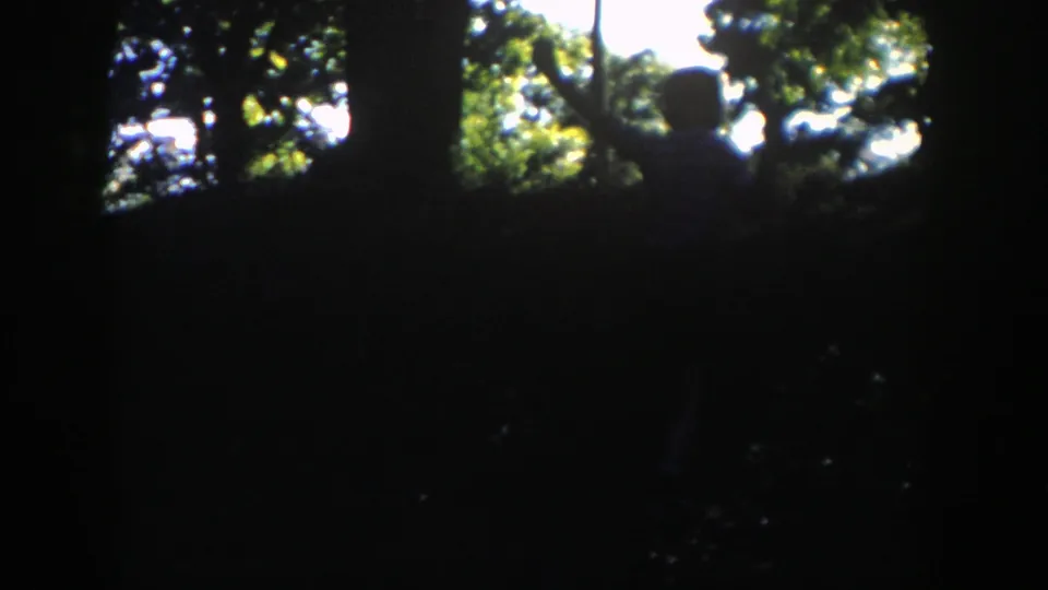A silhouetted person appears near the crest of a wooded hill in Wisconsin, framed by bright gaps in the tree canopy.