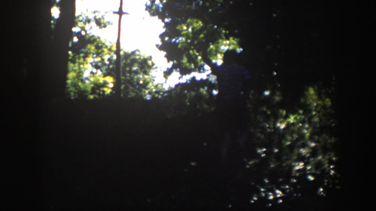 A person walks up a shaded Wisconsin hillside beneath dense trees, with bright foliage and sky behind them.