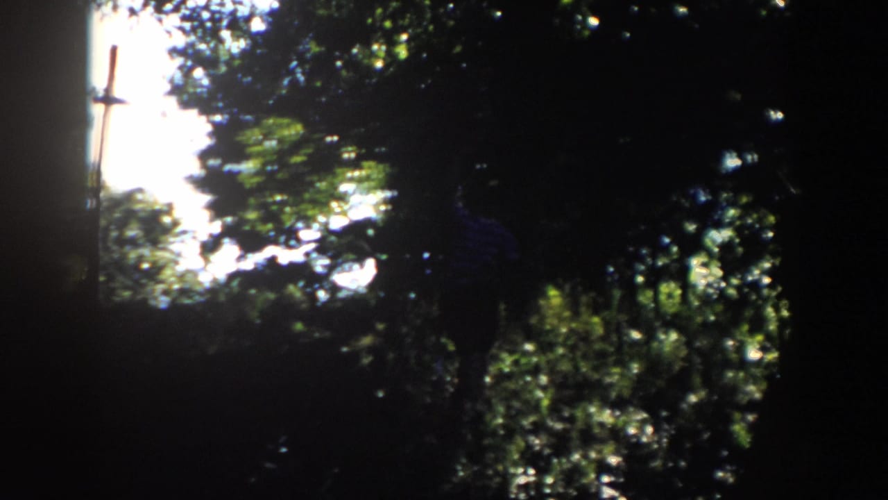 The final frame shows a dark wooded slope in 1958 Wisconsin footage, with the walker partly visible at the right edge.