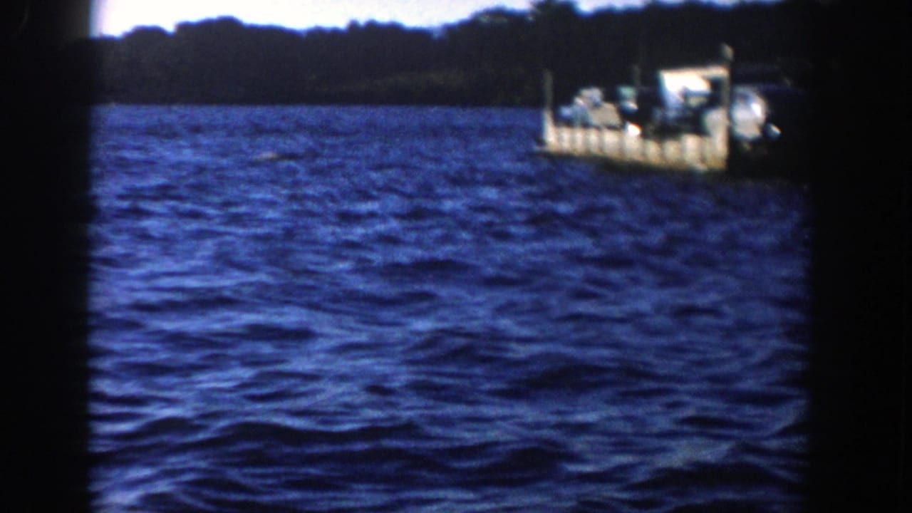 Car ferry carrying vehicles across rippling blue water with wooded shoreline behind it.