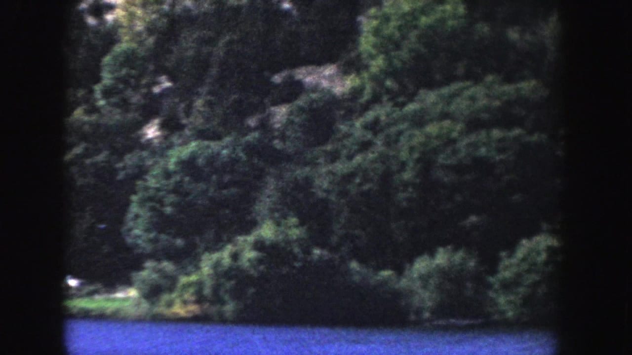 Wooded hillside along a Wisconsin lake, with layered green trees, uneven shore, and blue water in a soft 1958 8mm frame.