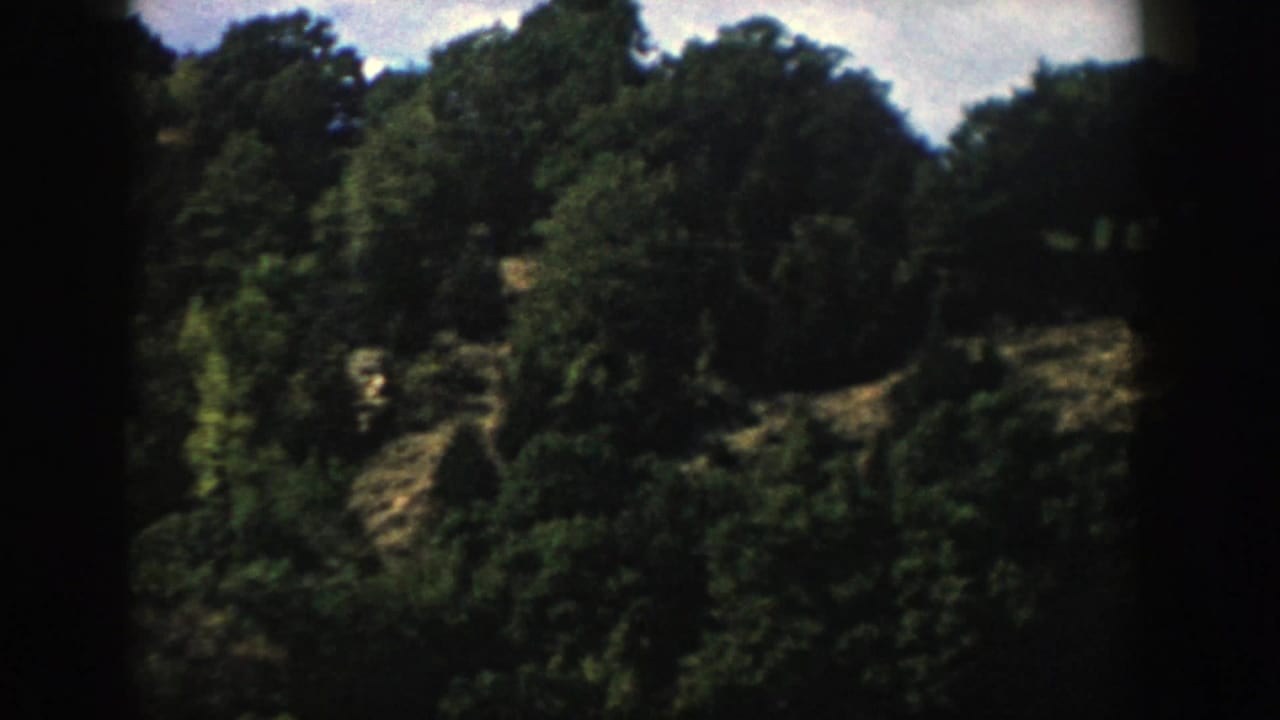 1958 Wisconsin 8mm frame showing a wooded hillside covered in dense green trees beneath a bright sky.