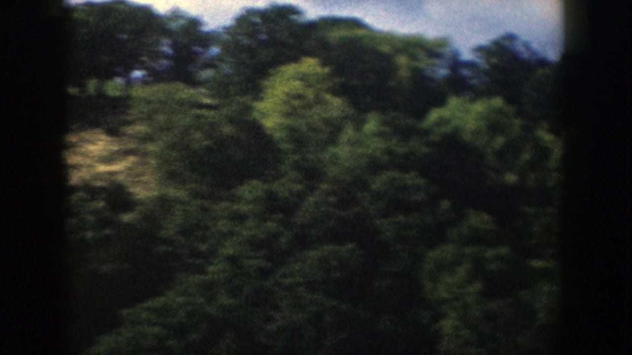 1958 Wisconsin 8mm frame of a tree-covered rolling slope with pale open patches and visible film-frame edges.