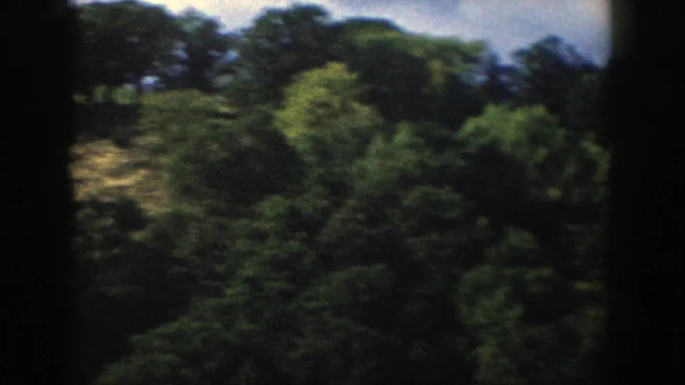 1958 Wisconsin 8mm frame of a tree-covered rolling slope with pale open patches and visible film-frame edges.
