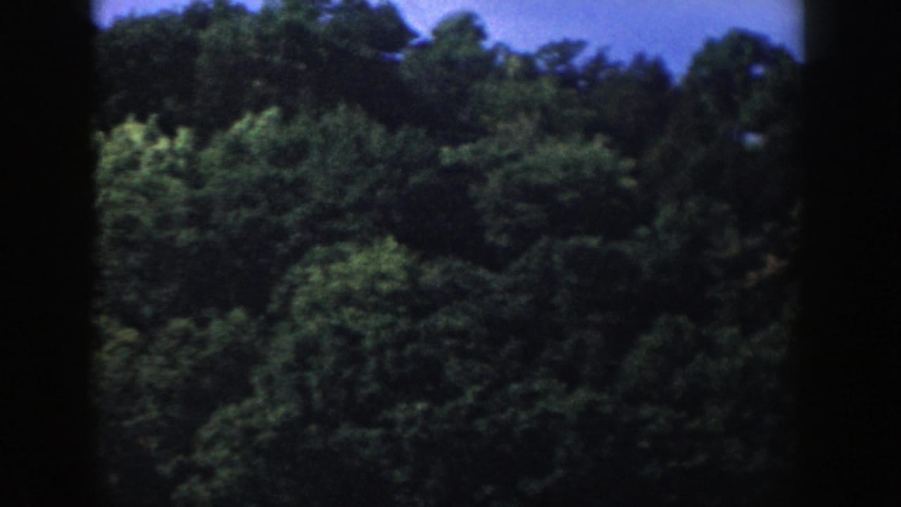 1958 Wisconsin 8mm frame looking across dense green treetops toward darker woodland on a rolling hill.