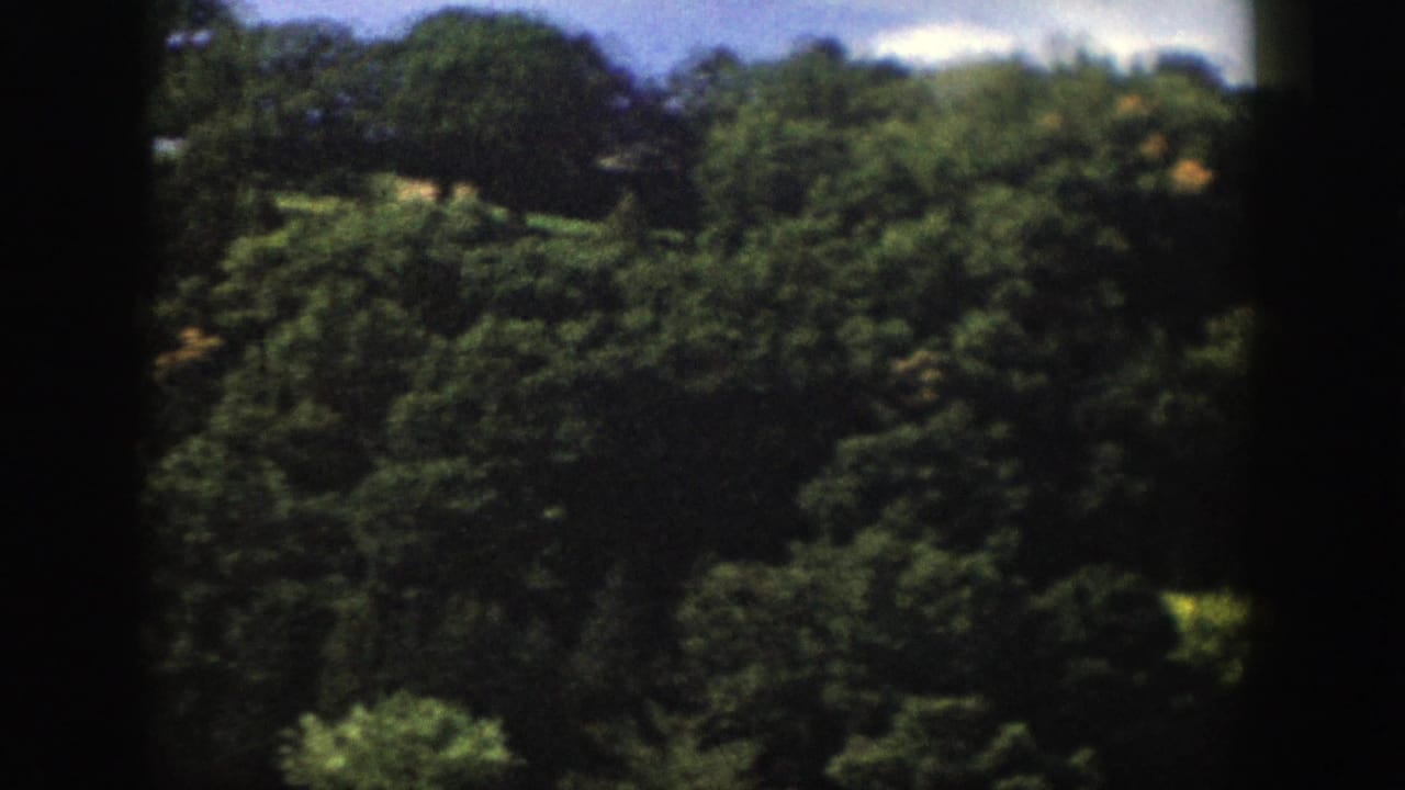 1958 Wisconsin 8mm frame showing thick forest canopy on a hillside with a small pale clearing near the top.