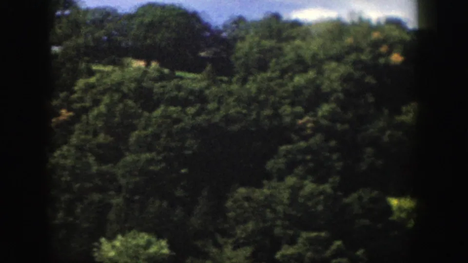 1958 Wisconsin 8mm frame showing thick forest canopy on a hillside with a small pale clearing near the top.