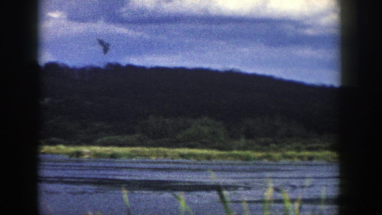 1958 Wisconsin 8mm frame showing calm water, foreground reeds, a green shoreline, dark wooded rise, and overcast sky.