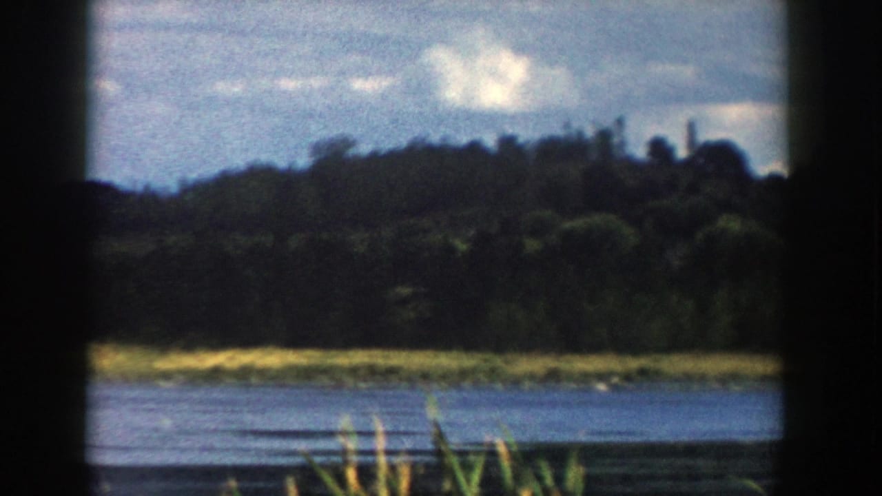 1958 Wisconsin home-movie frame with cattail-like reeds, calm water, dense trees, and an overcast sky during a slow pan.