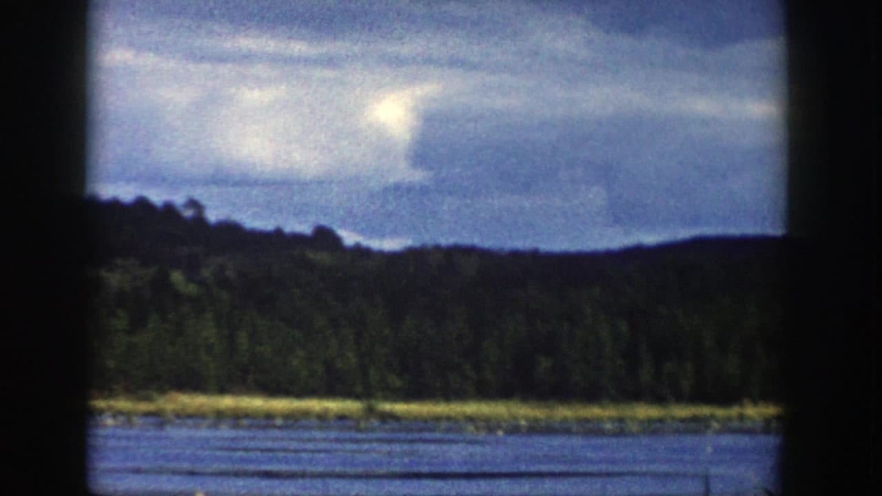 1958 Wisconsin lakeside view with blue water in the foreground, dense trees along the shore, low hills, and cloudy sky.