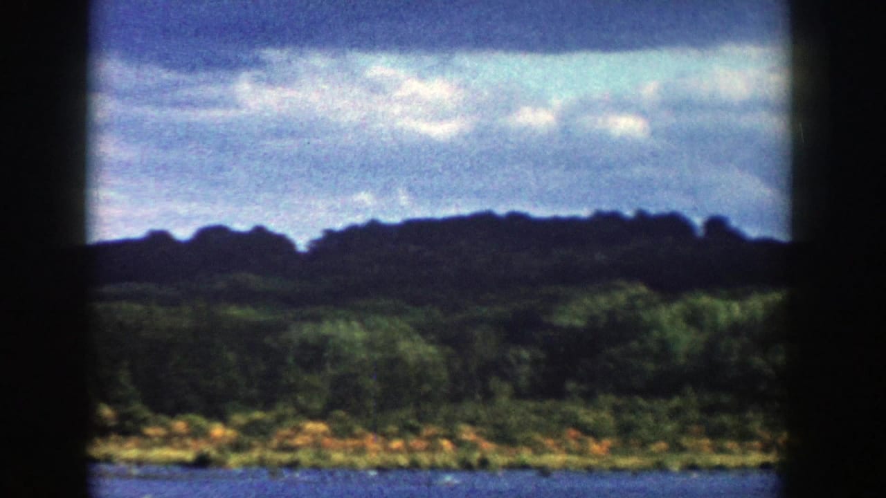Wide river view with wooded shoreline and cloudy sky.