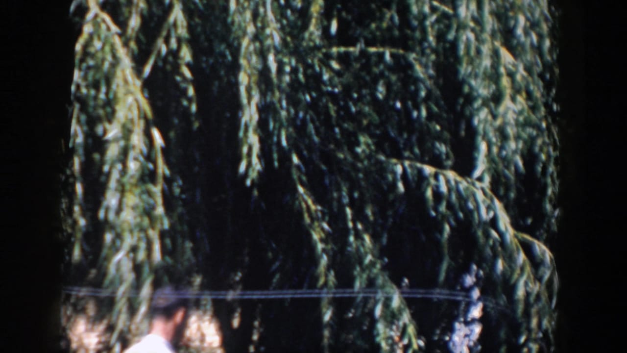Drooping willow branches dominate the 1958 Wisconsin home-movie frame, with a partial adult figure near the bottom edge.