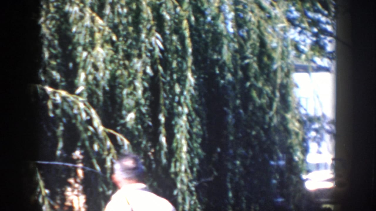 Man partly visible near a willow tree with yard objects and bright background light.