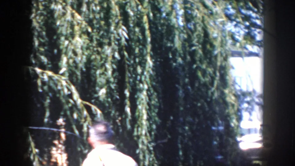 1958 Wisconsin 8mm frame showing an adult man partly visible beside a weeping willow in an outdoor yard setting.