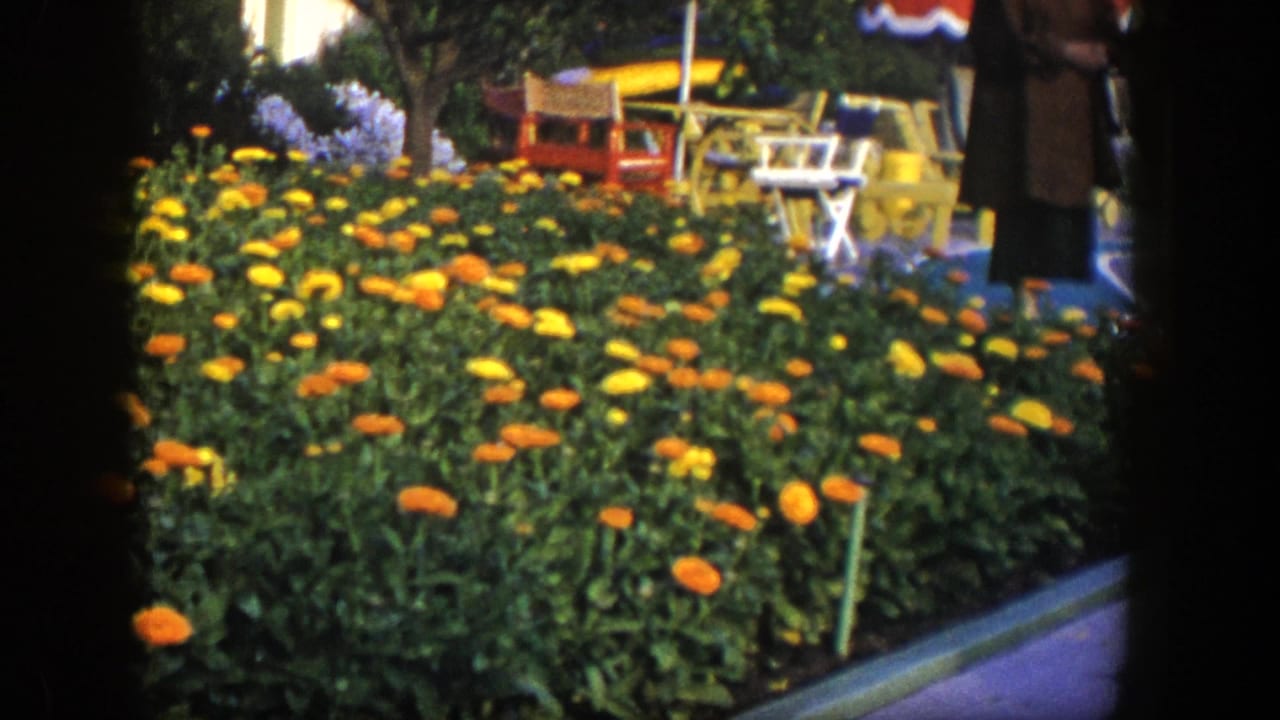Woman partly visible near flower beds, patio furniture, and striped umbrellas.