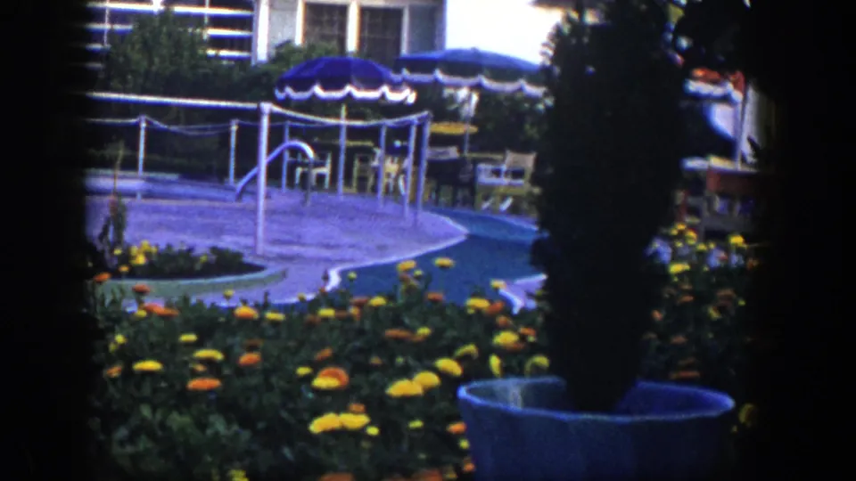 1954 Las Vegas backyard view with a curved swimming pool, flower beds, patio umbrellas, chairs, railings, and house windows.
