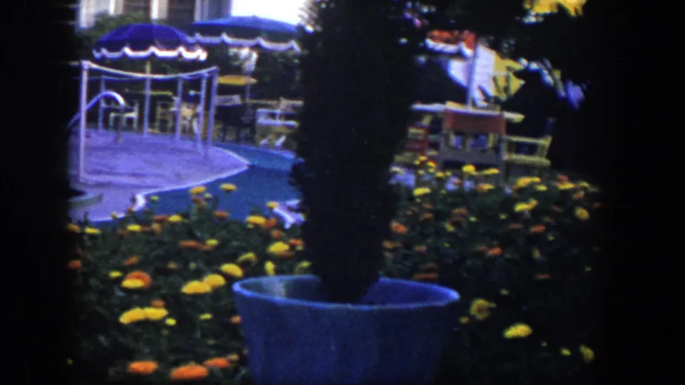 1954 Las Vegas home-movie frame with foreground flowers, a potted shrub, pool edge, umbrella shade, patio seating, and house details.