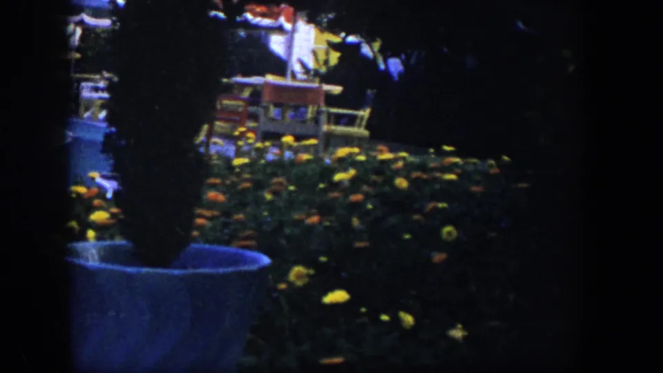 1954 Las Vegas backyard frame showing flowers and a potted shrub near the pool, with patio seating and umbrellas partly obscured by shadow.